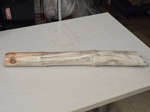 8.2-lbs - Lot of (1) Polished Petrified Wood Piece