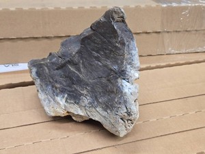 10.6-lbs - Lot of (1) Montana Opalized Petrified Wood
