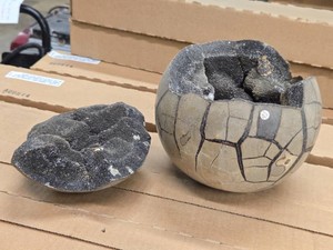 13.4-lbs Natural Dragon Septarian Dragon Egg