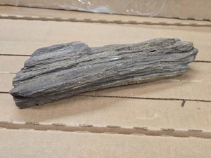 1.8-lbs Raw Natural Petrified Wood Piece