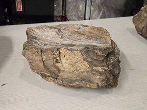 13.2lbs Petrified Wood