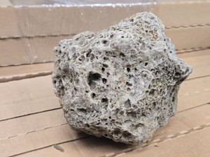 13lbs Lace Rock