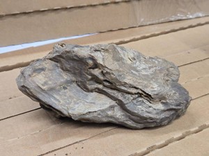 4.4lbs Petrified Wood
