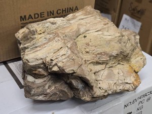 17.4lbs Petrified Wood