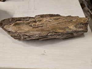 14.2lbs Petrified Wood