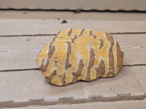 1lbs Sandstone Rock