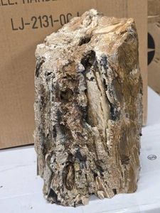 25.4lbs Petrified Wood