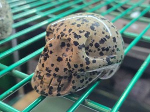 Lot of (1) Handcarved Dalmation Jasper Gemstone Skull Figure