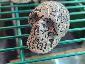 Lot of (1) Handcarved Dalmation Jasper Gemstone Skull Figure