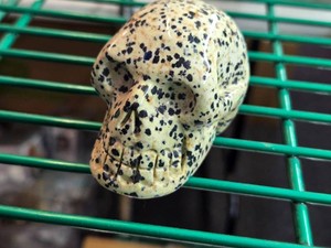 Lot of (1) Handcarved Dalmation Jasper Gemstone Skull Figure