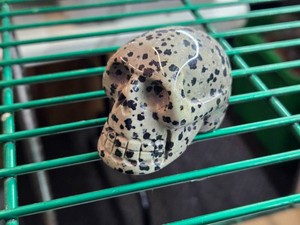 Lot of (1) Handcarved Dalmation Jasper Gemstone Skull Figure