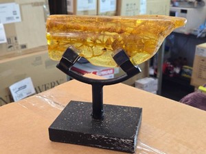 Lot of (1) Raw Baltic Amber Fossil with Stand