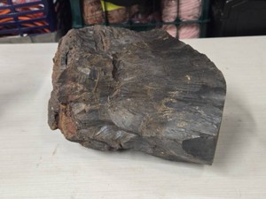 26.4lbs Australian Petrified Wood
