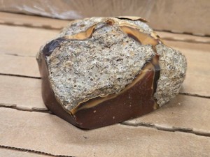 2.2lbs Bruno Jasper (Idaho)