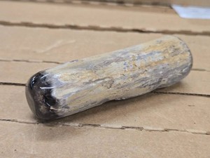 0.6lbs Agatized Petrified Wood
