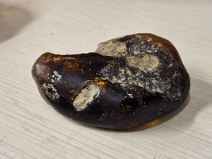 Copper Amber