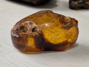 Copper Amber