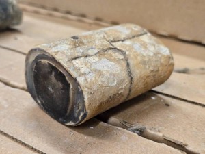 0.8lbs Petrified Wood