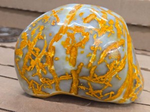 7lbs Bumblebee Jasper
