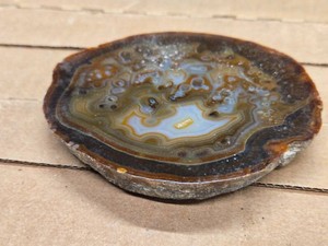 Polished Kentucky Agate Slice