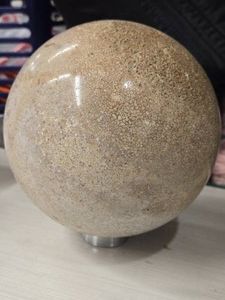 9.8lbs Polished Dinosaur Bone Sphere 6