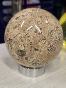 1.2lbs Polished Solid Agate Fossil Sphere 3