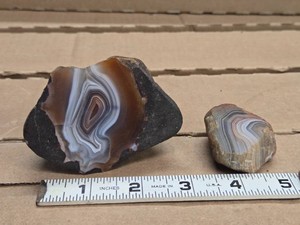 Lot of (2) Argentina Agate Nodule