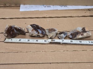 Lot of (5) Polished Agate Nodules