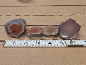 Lot of (4) Small Red Datolite Nodules