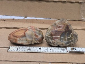 Lot of (2) Lake Superior Agate Nodules