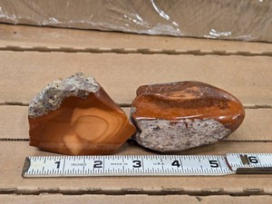Lot of (2) Bruneau Jasper Nodules