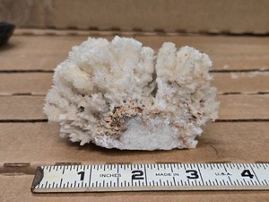 Lot of (1) White Argonite Cluster
