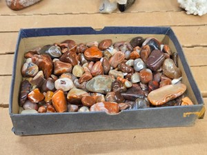 Lot of (1 Tray) Polished Pebbles (assorted)