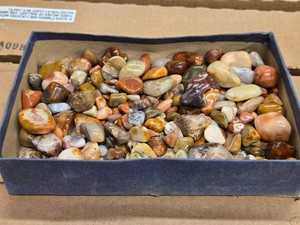 Lot of (1 Tray) Polished Pebbles (assorted)