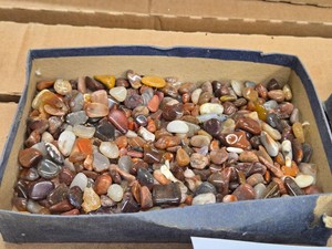 Lot of (1 Tray) Polished Pebbles (assorted)