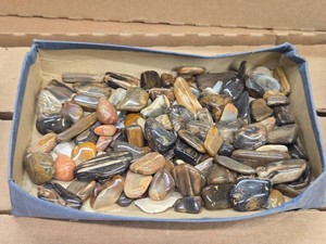 Lot of (1 Tray) Polished Pebbles (assorted)