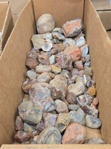 Lot of (1 Tray) Raw Agates (assorted)