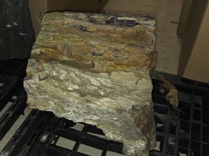 58-lbs Petrified Wood 10 x 10 x 9