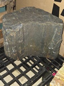 115-lbs Petrified Wood 13 x 9 x 12 12