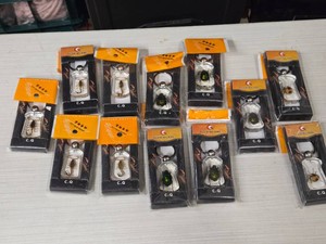 Lot of (12) Insects in Acrylic Keychain - Scorpions (x5), Green Chafer Bug (x5), Shield Bug (x2)