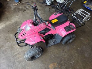 Coolster Mini ATV, Works...