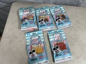 10 New Pup Ice Freezable Dog Treats