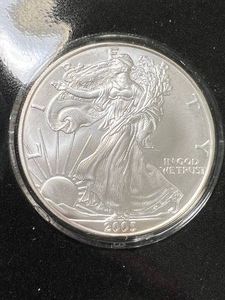 2005 AMERICAN SILVER EAGLE ONE TROY OZ .999 FINE SILVER