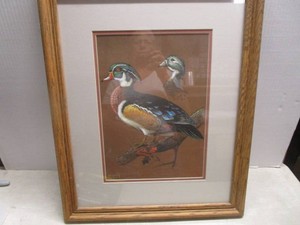 Wood Ducks by Prunty Framed Art