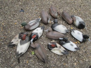 Decoys, Plasti Duk