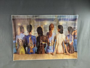 Pink Floyd Music Album Artwork Canvas Poster 16 x 23 - Brand New