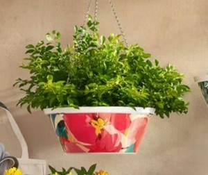 Members Mark 14 Hanging Flower Pot with Stainless Steel Chain, 4 Total, $52 Retail - Brand New