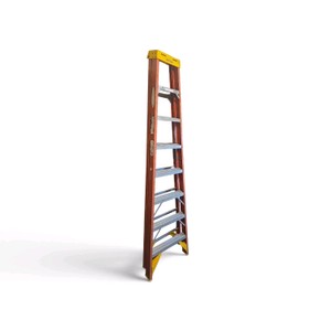 Werner 8 Foot Ladder