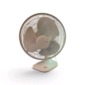 Oscillating Fan