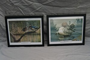 2 MATCHING DUCK PICTURES